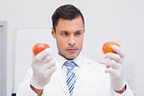 Perplex scientist holding two tomatoes