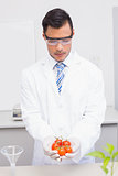 Scientist with protective glasses holding tomatoes