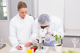 Scientist examining peppers with microscope while colleague writing in clipboard
