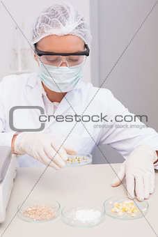 Scientist weighing corn and kernel with scales