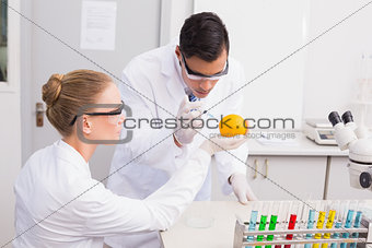 Concentrate scientists injecting orange