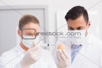 Scientists injecting an egg