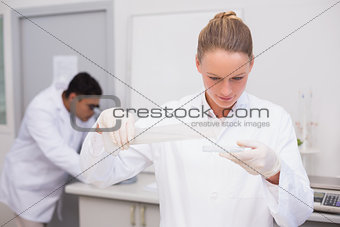 Serious scientist filling a petri dish