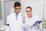 Scientists holding a petri dish with tests of plants