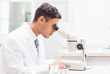 Concentrated scientist observing petri dish with microscope