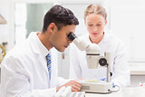 Scientists observing petri dish with microscope