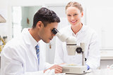 Scientists observing petri dish with microscope