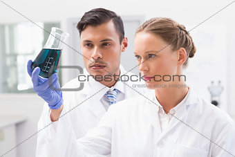 Concentrated scientists holding beaker with fluid