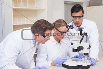 Concentrated scientists working together with microscope