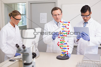 Scientists working together