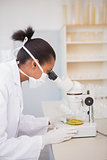 Scientist looking at petri dish with microscope
