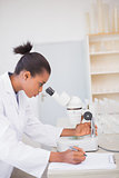 Scientist looking at petri dish with microscope and taking notes