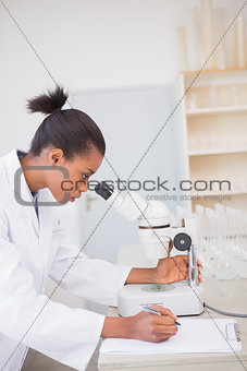 Scientist looking at petri dish with microscope and taking notes
