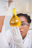 Scientist examining petri dish with orange fluid inside