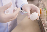 Food scientist examining an egg