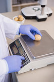 Scientist weighing potatoes