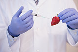 Scientist injecting strawberry