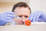 Scientist injecting tomato
