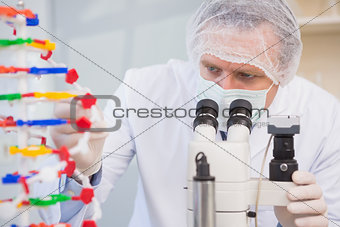 Scientist examining dna helix and looking in microscope