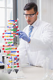 Scientist analysing dna helix