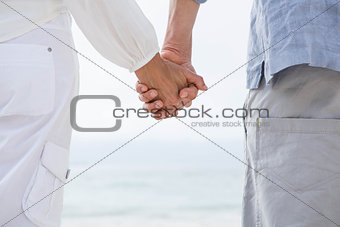 Happy couple holding hands and looking at the sea