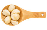 macadamia nuts on wooden spoob