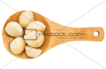 macadamia nuts on wooden spoob
