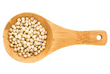 sorghum grain on wooden spoon
