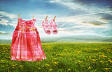 Dress and sandals on clothesline in fields of dandelions