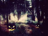 Pumpkins in the Night Forest