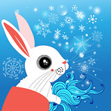winter portrait of a hare
