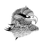 graphical eagles head