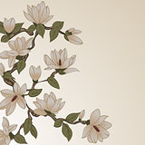 Floral background with magnolia