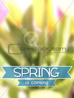 Spring background. Blurred tulips bouquet