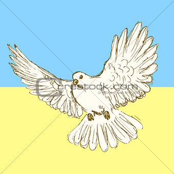 Sketch peace dove for Ukrainian war