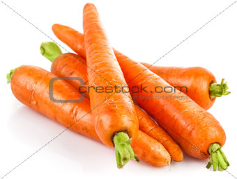 Fresh carrot with green leaves