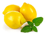 Fresh lemons with leaves melissa