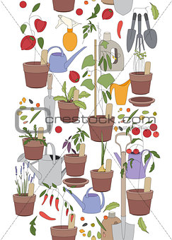 Seamless vertical pattern with gardening tools, flower pots,herbs and vegetables.