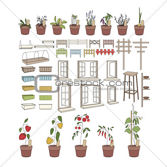 Flower pots with herbs and vegetables.  Plants growing on balcony
