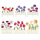 Flower pots with cultivated flowers. Decorative fence.