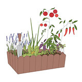 Container with growing vegetables and tools