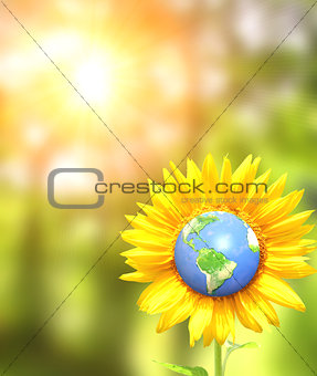 Sunflower and Earth on sunny background