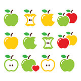 Green and yellow apple, apple core, bitten, half vector icons