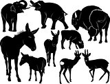 Collection of silhouettes of mammals animals
