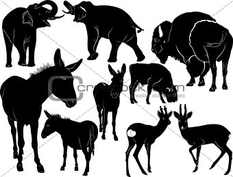 Collection of silhouettes of mammals animals