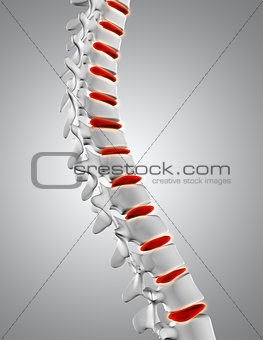 3D close up of spine with discs highlighted
