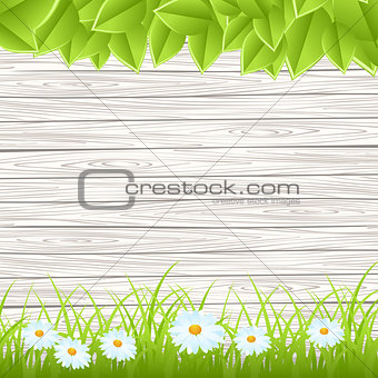 wall with grass