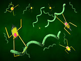 Nanobots and bacteria