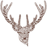 Antlered deer. Graphic drawing tattoo