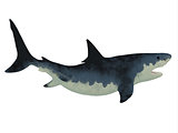 Megalodon Shark over White
